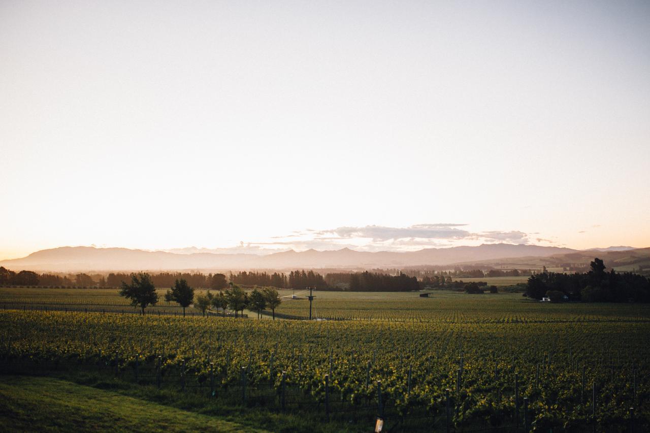Black Estate B & B Waipara 외부 사진
